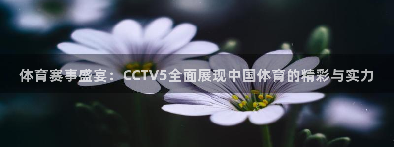 jrkan直播入口：体育赛事盛宴：CCTV5全面展现中国体育的精彩与实力