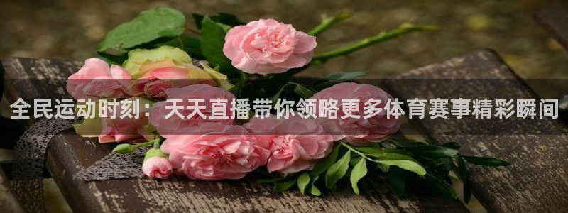 jrkan直播免费观看：全民运动时刻：天天直播带你领略更多体育赛事精彩瞬间
