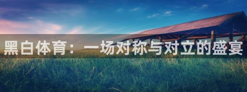 jrkan直播频道：黑白体育：一场对称与对立的盛宴