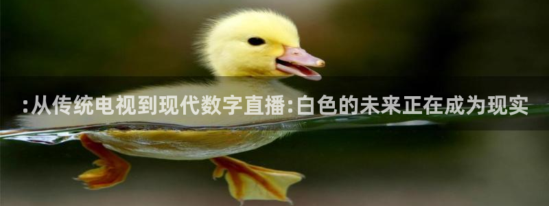 jrkan直播体育app：:从传统电视到现代数字直播:白色的未来正在成为现实